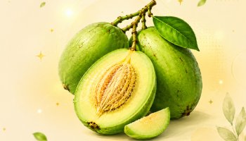 আমড়া : দামে সস্তা, গুণে সেরা!