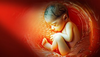 প্যারেন্টিং বা সন্তান লালন- কখন থেকে শুরু হওয়া উচিৎ?