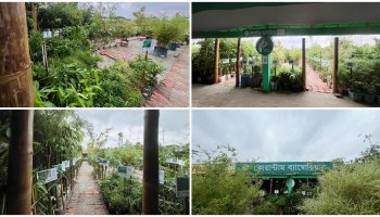 জাতীয় বৃক্ষরোপণ অভিযান ও বৃক্ষমেলা ২০২৬-তে প্রস্তুত 'কোয়ান্টাম ব্যাম্বোরিয়ান'