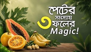 পেটের অসুখে সস্তা ৩ ফলের চমক! কোষ্ঠকাঠিন্য, গ্যাস্ট্রিক, ডায়রিয়া সারবে ওষুধ ছাড়াই