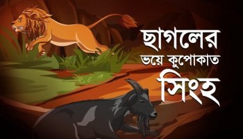 শিশুতোষ গল্প : বুদ্ধি থাকলে উপায় হয়