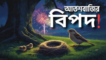 আর পোড়াব না আতশবাজি, ঈদ আনন্দ উদযাপনে কারণ হব না অন্যের ক্ষতির