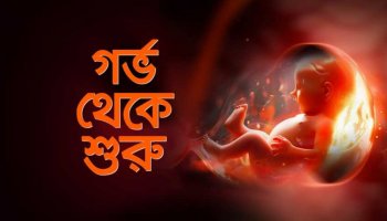 গর্ভাবস্থায় ১০টি নিয়ম মেনে চললে বাচ্চা হবে শান্ত ভালো ও বুদ্ধিদীপ্ত সন্তান | Tips for Pregnant Women