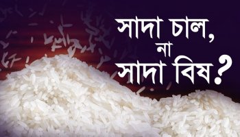 লাল চাল, না সাদা চাল- কোনটা বেশি পুষ্টিকর?