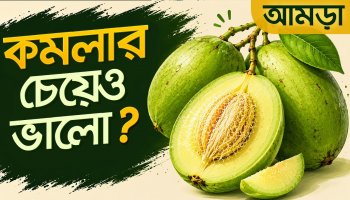 আমড়া: সস্তায় প্রচুর পুষ্টি, কমলার দ্বিগুণ ফাইবার! কীভাবে খেলে বেশি উপকার?