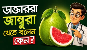 জাম্বুরার ৫টি অমূল্য গুণ! কিন্তু কাদের খাওয়া নিষেধ? বাতাবি লেবু খাওয়ার নিয়ম ও উপকারিতা