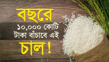 সিদ্ধ চাল নাকি আতপ চাল- কোনটা বেশি পুষ্টিকর? জানলে আপনি আজই খাওয়া শুরু করবেন!