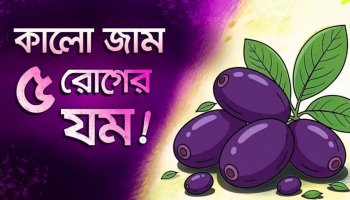কালো জাম: অবিশ্বাস্য ১০ উপকারিতা, যা ৯০% মানুষই জানে না!