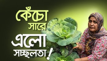 যাকাতের অর্থে স্বনির্ভর নাসিমা খানম