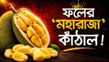 কাঁঠালের বিচি থেকে কোষ সবই পুষ্টিগুণে ভরপুর! কাঁচা না পাকা কীভাবে খেলে বেশি উপকার?