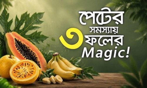 পেটের অসুখে সস্তা ৩ ফলের চমক! কোষ্ঠকাঠিন্য, গ্যাস্ট্রিক, ডায়রিয়া সারবে ওষুধ ছাড়াই