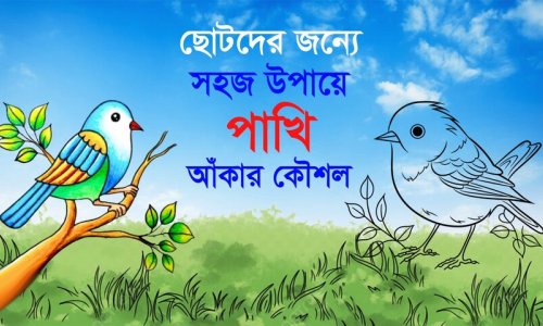 ছোটদের পাখি আঁকার সহজ পদ্ধতি