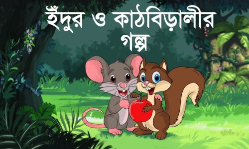 মজার গল্প : কাঠবিড়ালী এখন কেন বন্ধু ইঁদুরের সাথে শেয়ার করে খাবার খায়?