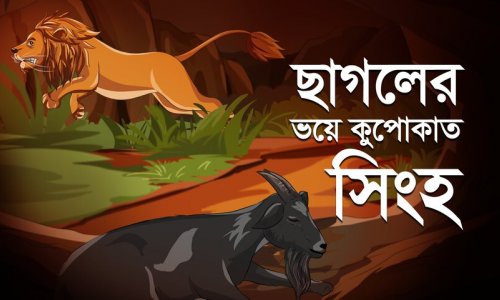 শিশুতোষ গল্প : বুদ্ধি থাকলে উপায় হয়