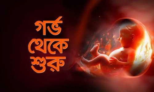 গর্ভাবস্থায় ১০টি নিয়ম মেনে চললে বাচ্চা হবে শান্ত ভালো ও বুদ্ধিদীপ্ত সন্তান | Tips for Pregnant Women