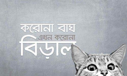 করোনা বাঘ এখন করোনা বিড়াল