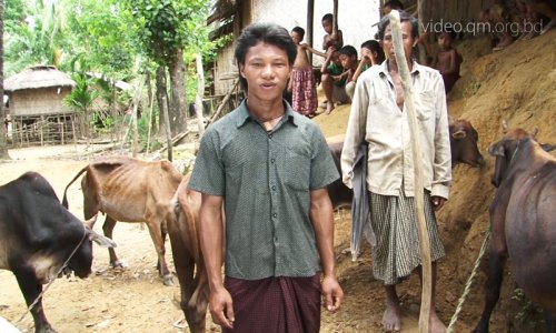 We Have Now, Eight Cows from One- Zakat Recipient Ongthwaiyari Marma, Lama, Bandarban