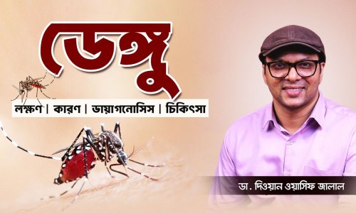 ডেঙ্গু থেকে দ্রুত সুস্থ হওয়ার ৫টি ঘরোয়া টিপস।