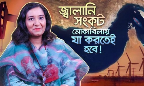 জ্বালানি সঙ্কট মোকাবেলায় রিনিউয়েবল এনার্জি বা নবায়নযোগ্য জ্বালানির বর্তমান অবস্থা ও ভবিষ্যৎ সম্ভাবনা