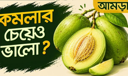 আমড়া: সস্তায় প্রচুর পুষ্টি, কমলার দ্বিগুণ ফাইবার! কীভাবে খেলে বেশি উপকার?