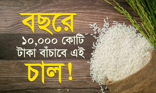 সিদ্ধ চাল নাকি আতপ চাল- কোনটা বেশি পুষ্টিকর? জানলে আপনি আজই খাওয়া শুরু করবেন!