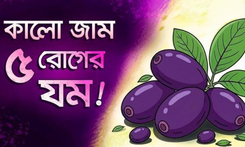 কালো জাম: অবিশ্বাস্য ১০ উপকারিতা, যা ৯০% মানুষই জানে না!