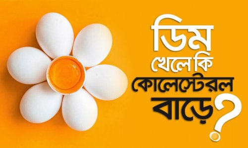 সুপারফুড ডিম : কোলেস্টেরল বাড়ায় নাকি কমায়? দিনে কয়টি খাওয়া নিরাপদ?