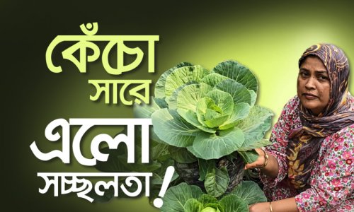 যাকাতের অর্থে স্বনির্ভর নাসিমা খানম