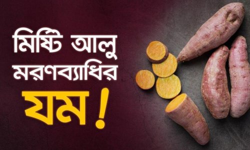 মিষ্টি আলু: ক্যান্সার, হার্ট অ্যাটাকসহ ৬ মারণব্যাধির যম দেশি সুপারফুড!