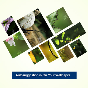 Autosuggestion on Wallpaper (Vol 4)