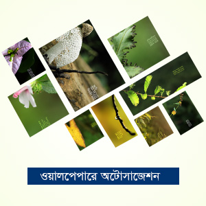 ওয়ালপেপারে অটোসাজেশন ভলিউম- ০৪