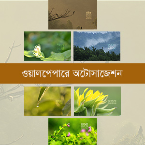 ওয়ালপেপারে অটোসাজেশন ভলিউম- ০৫