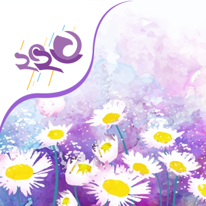 Gratitude Meditation 2