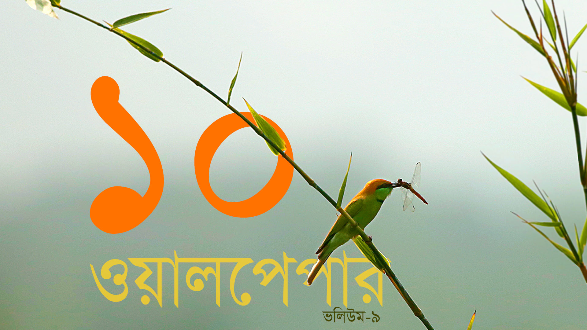 ১০টি কোয়ান্টাম ওয়ালপেপার ভলিউম- ০৯