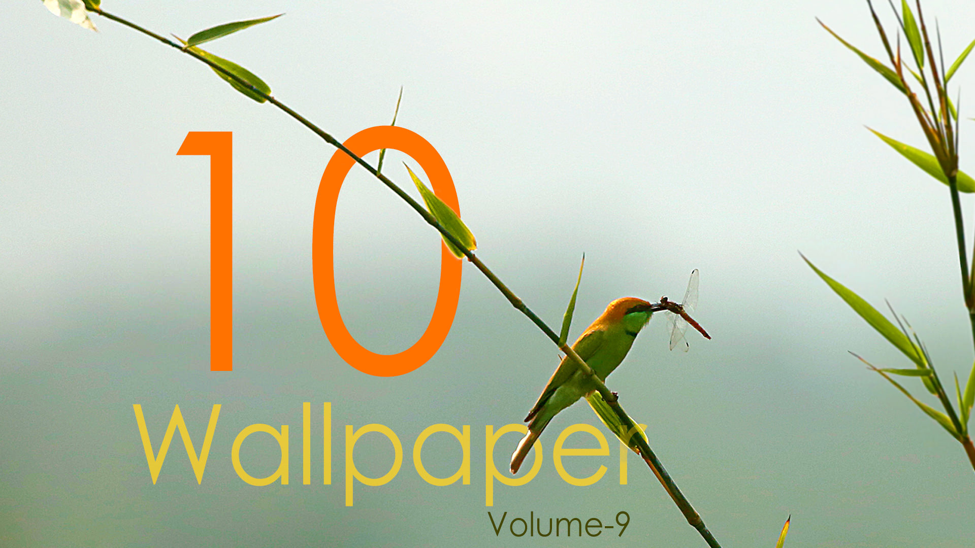 10 Quantum Wallpapers (Vol 9)