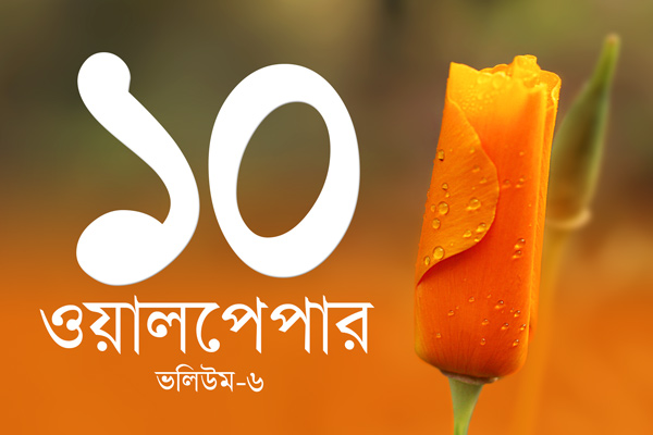 ১০টি কোয়ান্টাম ওয়ালপেপার ভলিউম- ০৬