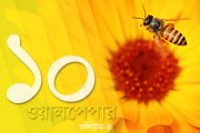 ১০টি কোয়ান্টাম ওয়ালপেপার ভলিউম- ০৪