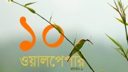 ১০টি কোয়ান্টাম ওয়ালপেপার ভলিউম- ০৯