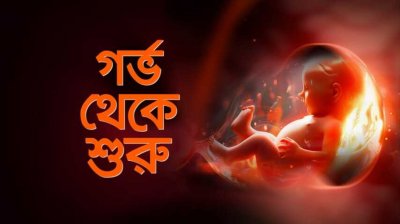 গর্ভাবস্থায় ১০টি নিয়ম মেনে চললে বাচ্চা হবে শান্ত ভালো ও বুদ্ধিদীপ্ত সন্তান | Tips for Pregnant Women