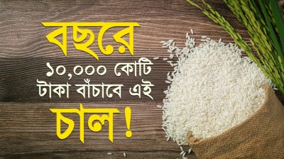 সিদ্ধ চাল নাকি আতপ চাল- কোনটা বেশি পুষ্টিকর? জানলে আপনি আজই খাওয়া শুরু করবেন!
