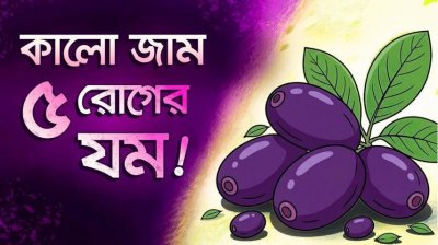 কালো জাম: অবিশ্বাস্য ১০ উপকারিতা, যা ৯০% মানুষই জানে না!