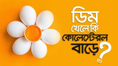 সুপারফুড ডিম : কোলেস্টেরল বাড়ায় নাকি কমায়? দিনে কয়টি খাওয়া নিরাপদ?