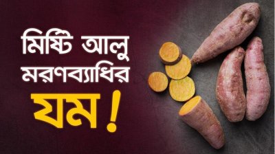 মিষ্টি আলু: ক্যান্সার, হার্ট অ্যাটাকসহ ৬ মারণব্যাধির যম দেশি সুপারফুড!